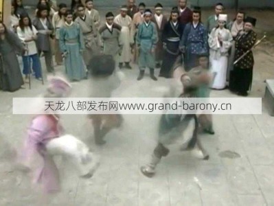 2004版天龙八部：少林寺大战片段出自第几集？